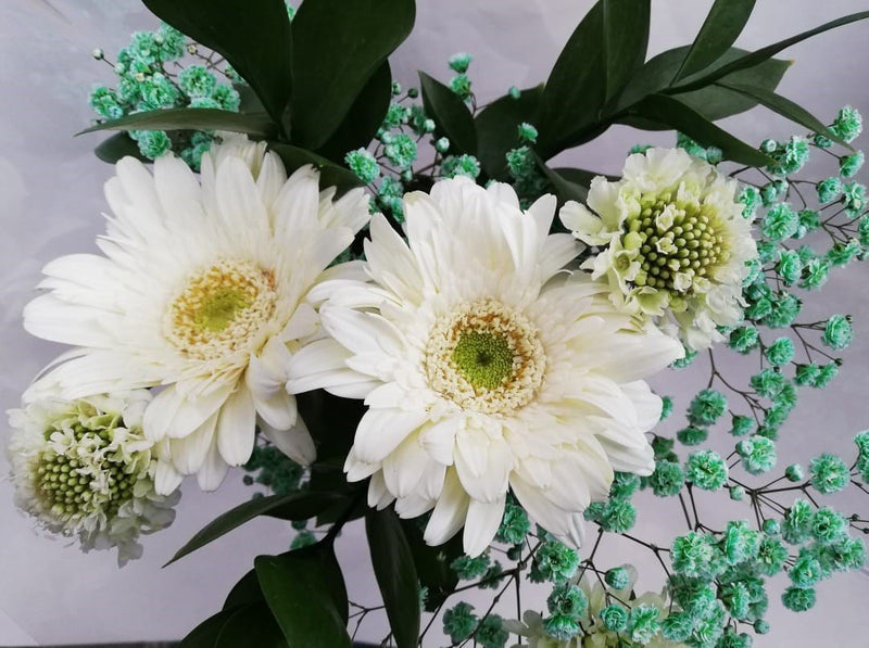 Buy Online High quality and Fresh Shine Bright Bouquet - Greenchoice Flowers