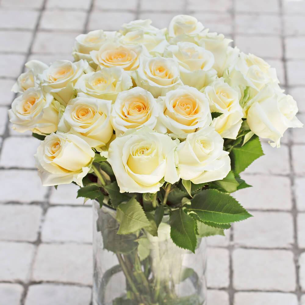 Buy Online High quality and Fresh Creme d' la Creme Rose - Greenchoice Flowers