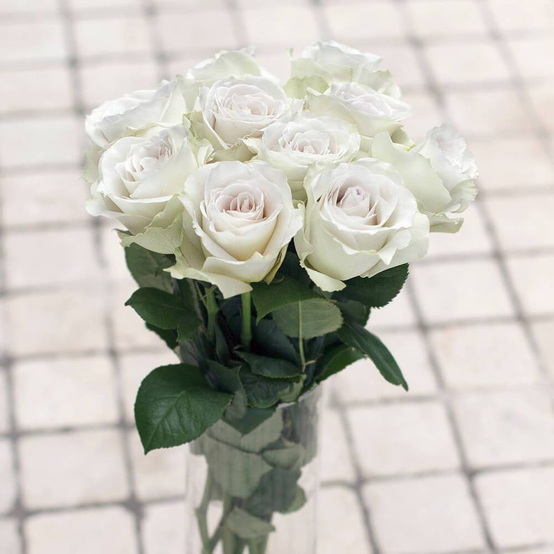 Buy Online High quality and Fresh Early Gray Rose - Greenchoice Flowers