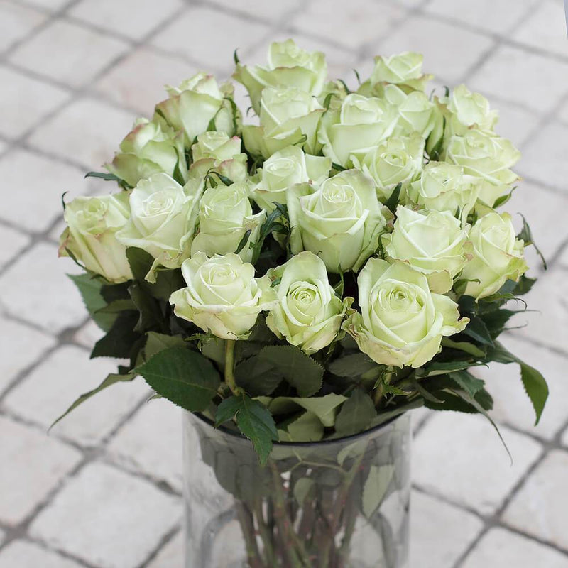 Greenchoice Flowers, 24 White Roses Fresh Cut Flowers