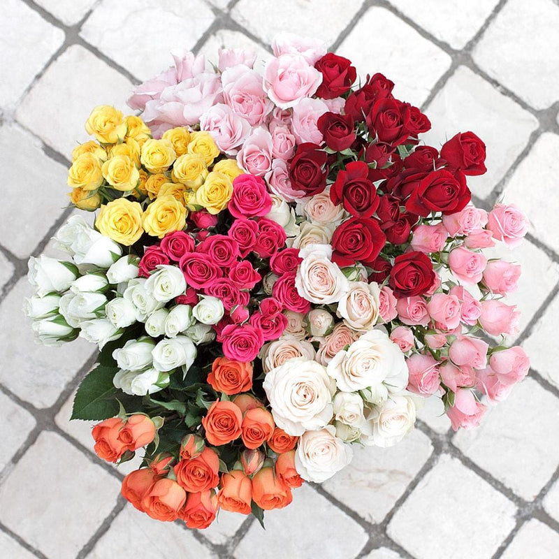 Assorted Bright Blend FD Rose Petals (30 Cups)