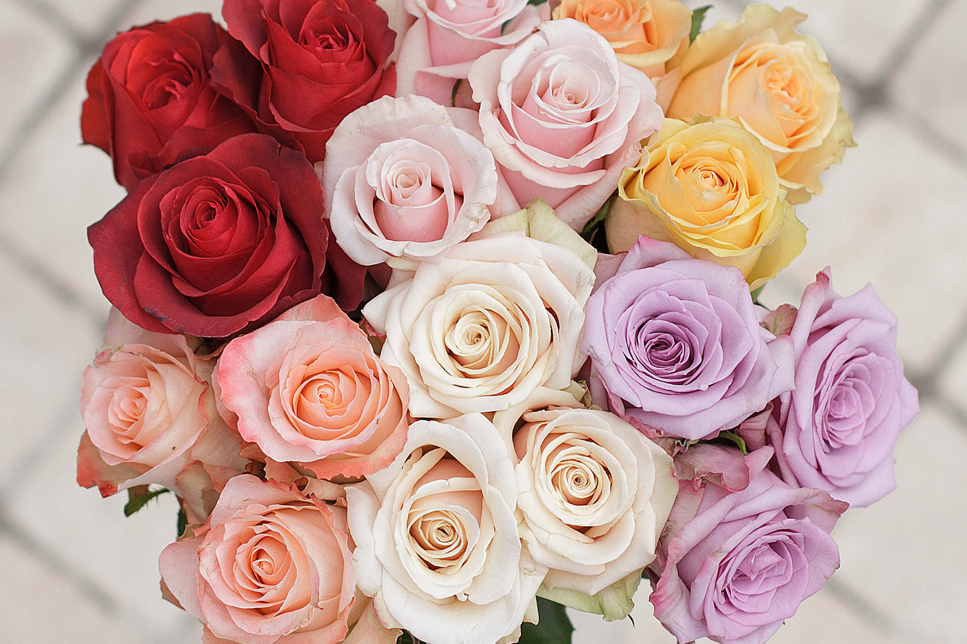 The Meaning of Rose Colors: Your Guide to Selecting the Perfect Colored Roses for Different Occasions