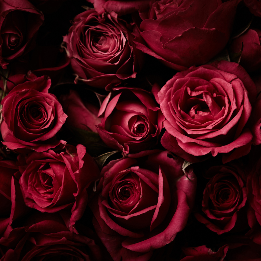 Moody Blooms – Greenchoice Flowers