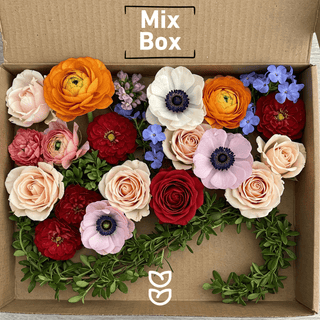 Mixed Boxes