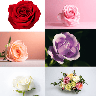 Valentine’s Mix Assortment Bunch – 1  Unit - 40cm / 50cm