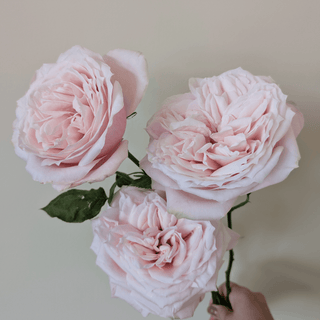 Yuyi Gardens Garden Rose – Wholesale Premium Roses