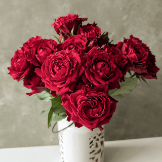 Romeo Premium Spray Rose – Fresh Cut Stems