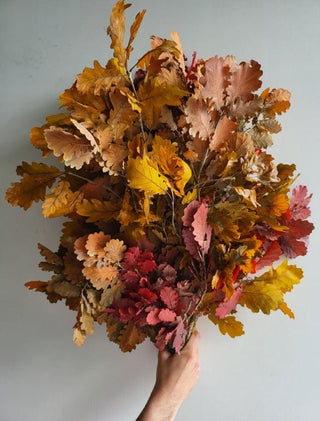 Oak Leaves Fall Mix Italy Natural (Preserved Fall Foliage)