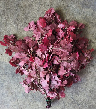 Oak Leaves Pink Italy Natural (Preserved Fall Foliage)