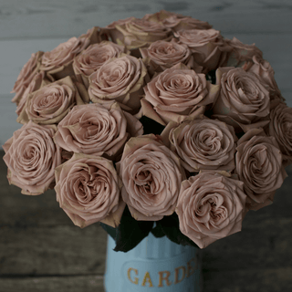 Mocca Rose Fresh Cut – Premium Farm Direct Roses