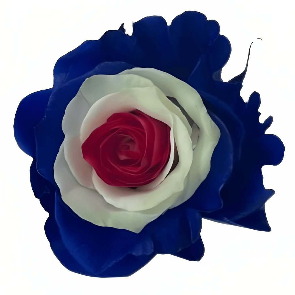 Independence Soul Tinted Patriotic Rose (Fourth of July)