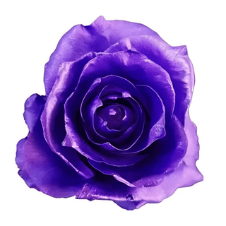 Metallic Purple Ink Rose Tinted (Fresh Cut)