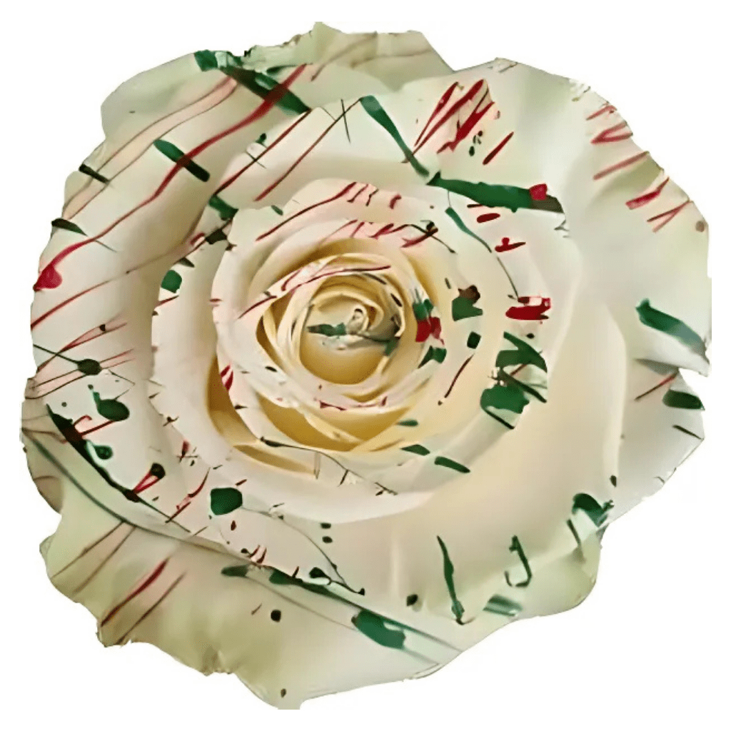Picasso White Rose Tinted (Fresh Cut) – Greenchoice Flowers