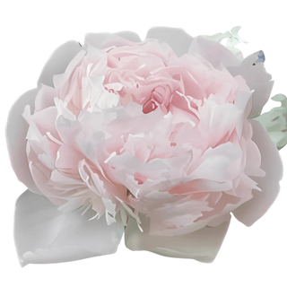 Alertie - Patagonia Peonies Flowers | Fresh-Cut Wholesale Peony (October - November - December)