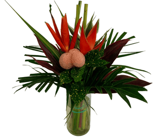 Fresh Tropical Bouquets Wholesale | Farm-Direct Regular Bouquets for Florists & Retailers