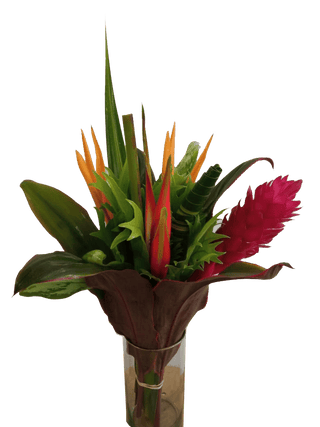 Fresh Tropical Bouquets Wholesale | Farm-Direct Regular Bouquets for Florists & Retailers