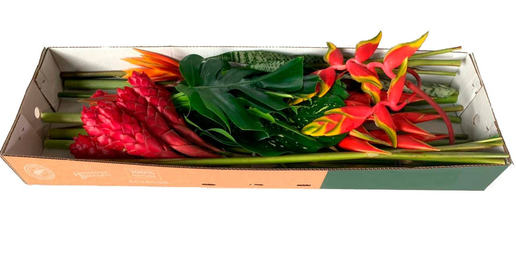 Tropical Combo Fiesta Box By Magic Flowers