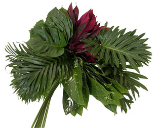 Tropical Combo Foliage Amazon Box