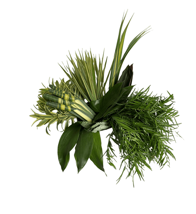 Tropical Combo Foliage Botanical Box By Magic Flowers