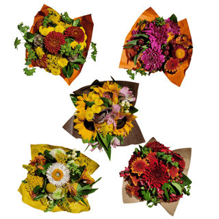 Petite No Roses Fall & Thanksgiving Collection Floral Bouquets