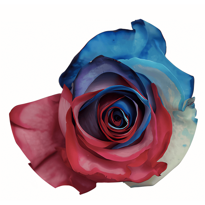 Lincon Tinted Patriotic Rose (Fourth of July)