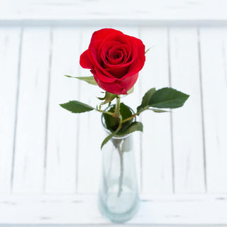 Buy Online High quality and Fresh Red Rose - Greenchoice Flowers