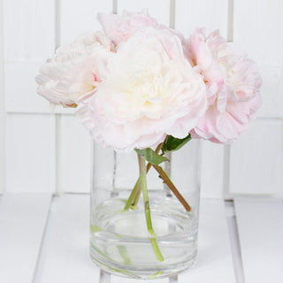 Premium Blush Peonies Flower October, November & December