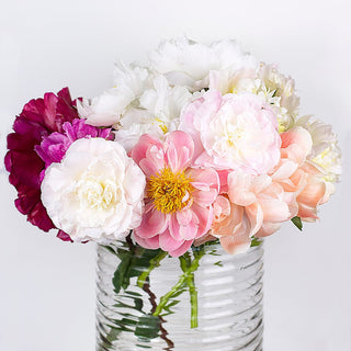 Assorted Peonies Flower October, November & December Delivery