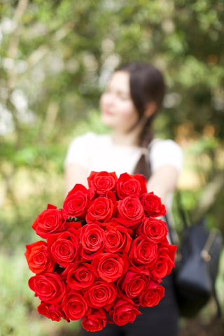 Nina Rose | Vibrant True Red Premium Roses | Farm Direct Wholesale | Free Shipping