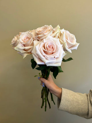 Light Pink Cleo Rose Fresh Cut – Premium Farm Direct Roses