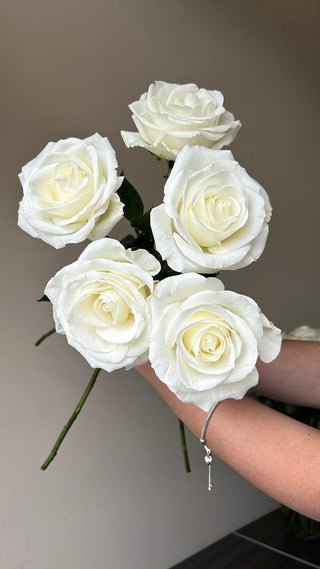Mia Rose | Pure White with Cream Center Premium Roses | Farm Direct Wholesale | Free Shipping