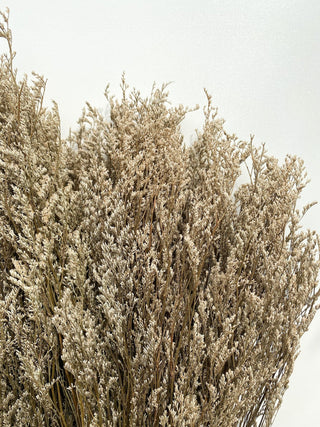 Limonium Dried Natural Preserved