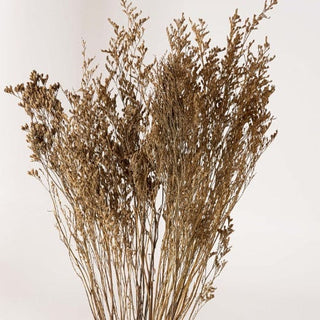 Limonium Dried Natural Preserved