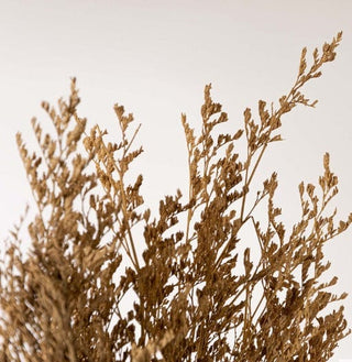 Limonium Dried Natural Preserved