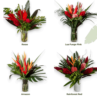 Fresh Tropical Medium Bouquets Wholesale | High-Impact Farm-Direct Florals for Events & Retail