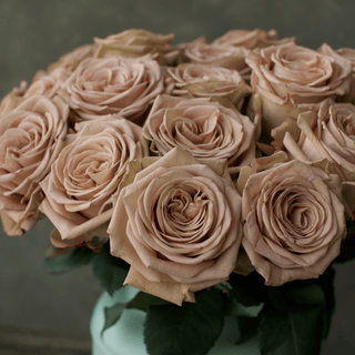 Mocca Rose Fresh Cut – Premium Farm Direct Roses