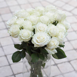 Buy Online High quality and Fresh White Rose - Greenchoice Flowers