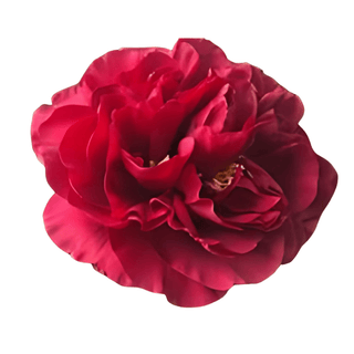 Old Faithful - Patagonia Peonies Flowers | Fresh-Cut Wholesale Peony (October - November - December)