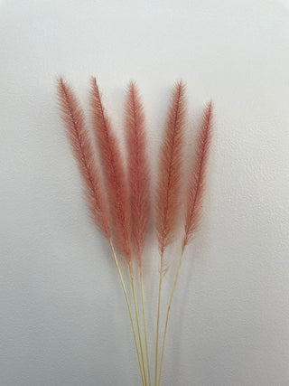 Pennisetum Dried Natural Preserved