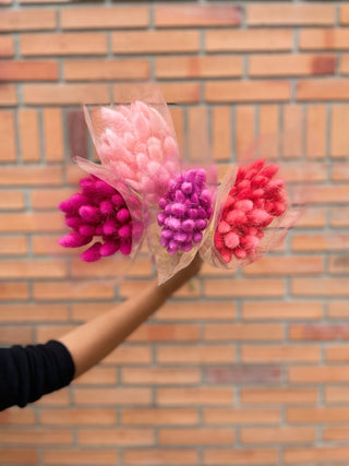 Bunny Tails Dried Natural Preserved