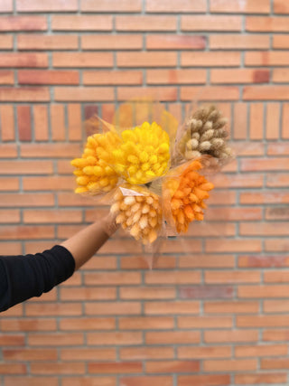 Bunny Tails Dried Natural Preserved