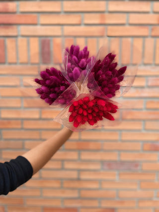 Bunny Tails Dried Natural Preserved