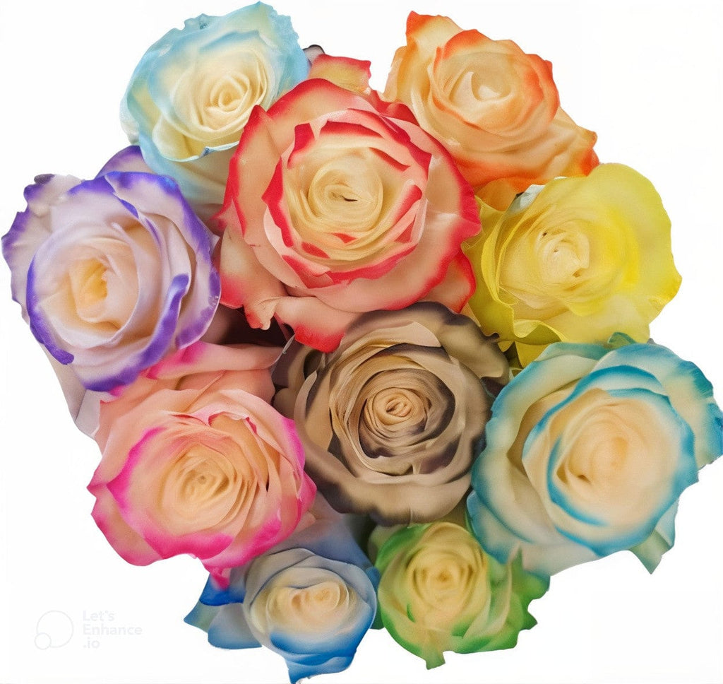 Mondial Mix Fancy Rose Tinted (Fresh Cut) – Greenchoice Flowers