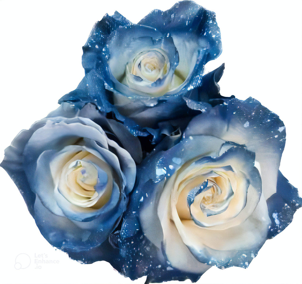 Milk Way Rose Tinted (Fresh Cut) – Greenchoice Flowers