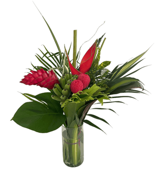 Fresh Tropical Plus Bouquets Wholesale | Premium Farm-Direct Arrangements for Florists & Retailers
