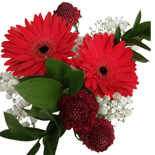 Valentine’s Day Bouquet – 10 Stems