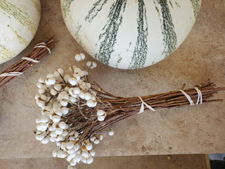 Dried Tallow Popcorn Berries Branches (sizes: 7" & 18") for Rustic Wedding Decor, Floral Crafts, and Arrangements