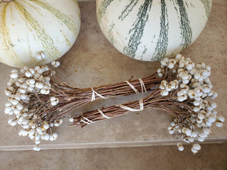 Dried Tallow Popcorn Berries Branches (sizes: 7" & 18") for Rustic Wedding Decor, Floral Crafts, and Arrangements