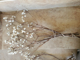 Dried Tallow Popcorn Berries Branches (sizes: 7" & 18") for Rustic Wedding Decor, Floral Crafts, and Arrangements