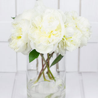 Premium White Peonies Flower October, November & December